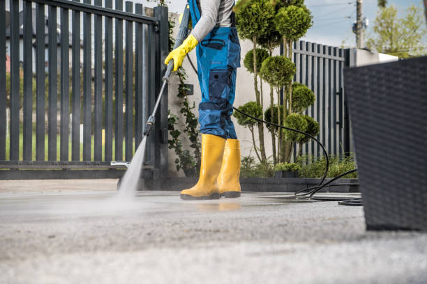 Best Roof Washing  in Avoca, PA